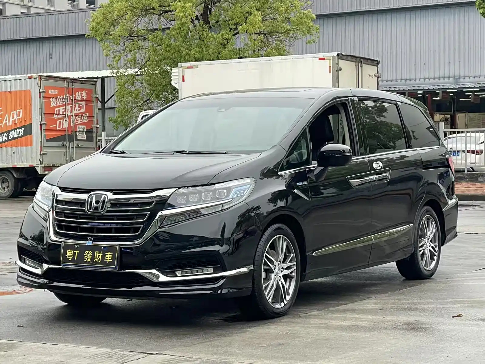 HONDA ALISON 2019