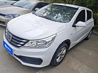 bao-jun 310
