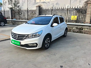 bao-jun 310