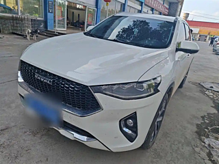 HAVAL F7  2019