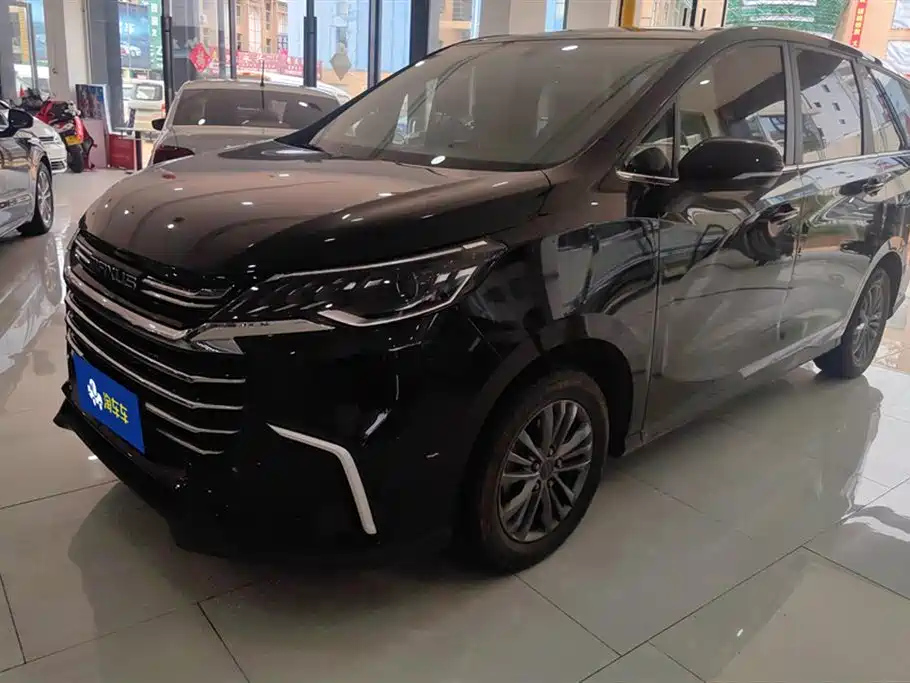 Аукционный лист MAXUS OTHER 2021