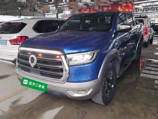 GREAT WALL CANNON  2019