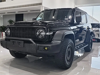 TANK 300  2021