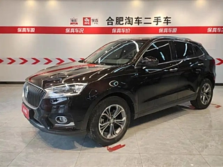 Заказать BORGWARD BX7