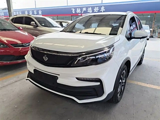Заказать LIVAN 枫叶30X