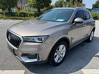 Заказать BORGWARD BX5