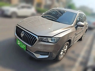 Заказать BORGWARD BX5