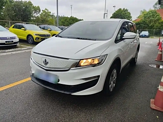 Заказать LIVAN 枫叶80V L