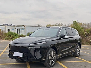 Заказать WEY LANSHAN