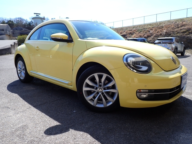 VOLKSWAGEN THE BEETLE