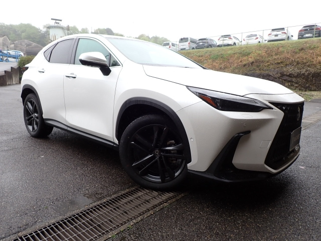 LEXUS NX 2023