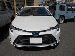 TOYOTA COROLLA 2024