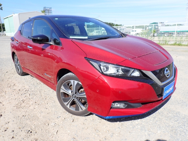 NISSAN LEAF 2019