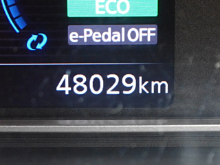 NISSAN LEAF 2019