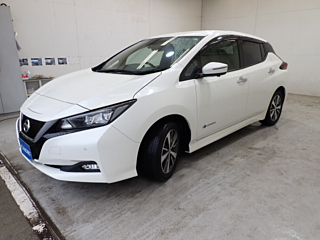 NISSAN LEAF 2019