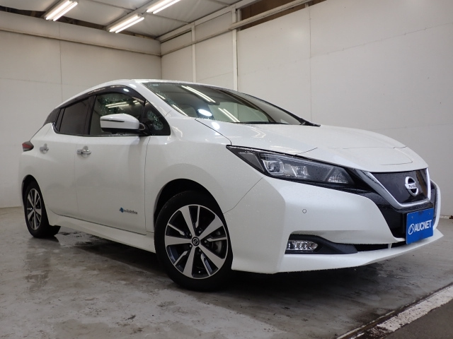 NISSAN LEAF 2019