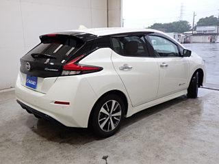 NISSAN LEAF 2019