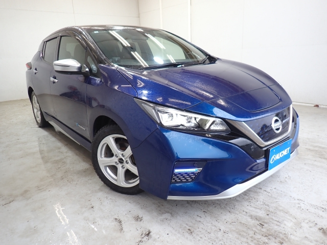 NISSAN LEAF 2020