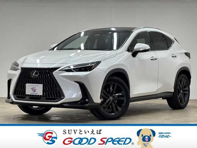 LEXUS NX 2022