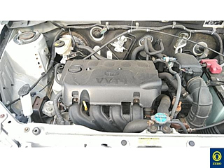 TOYOTA SUCCEED 2013