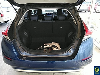 NISSAN LEAF 2020