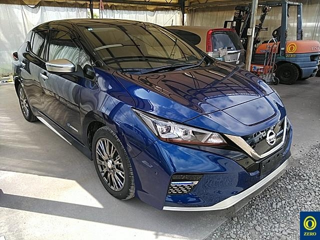 NISSAN LEAF 2020
