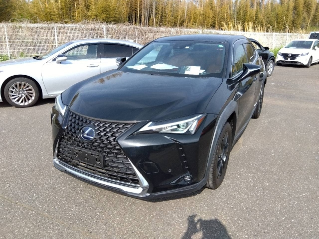 LEXUS UX 2020