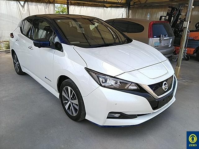 NISSAN LEAF 2020