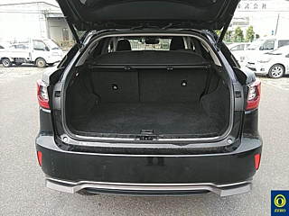 LEXUS RX 2018