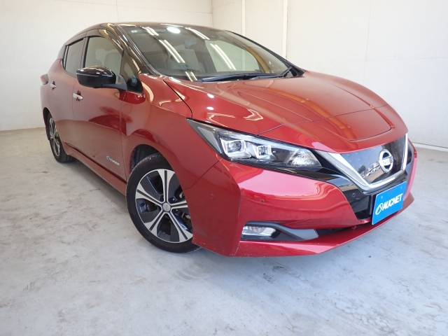 NISSAN LEAF 2018