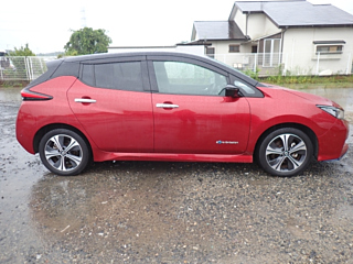 NISSAN LEAF 2019