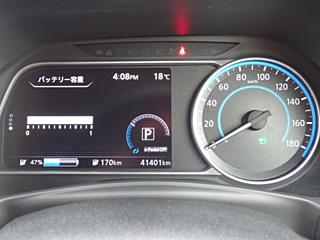 NISSAN LEAF 2019