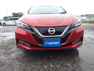 NISSAN LEAF 2019
