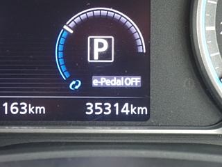 NISSAN LEAF 2019
