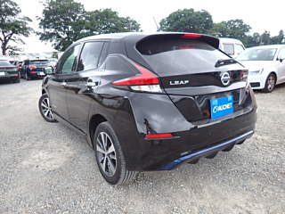 NISSAN LEAF 2019