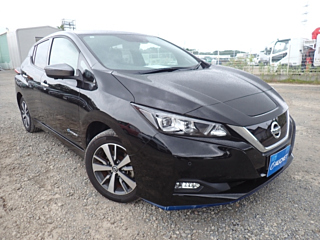 NISSAN LEAF 2019