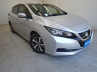 NISSAN LEAF 2019