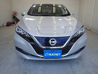 NISSAN LEAF 2019