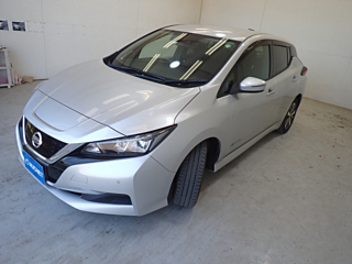 NISSAN LEAF 2019