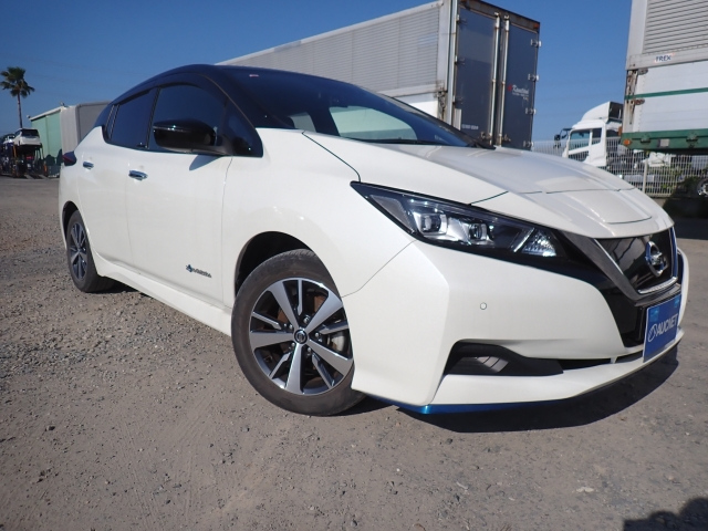 NISSAN LEAF 2020