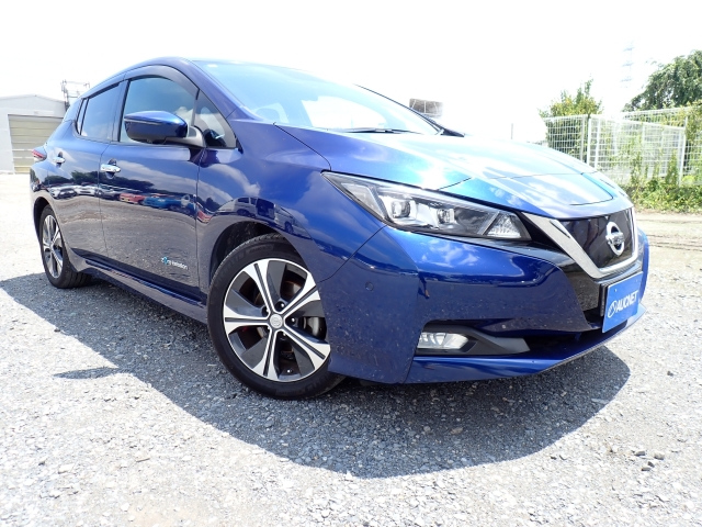 NISSAN LEAF 2018