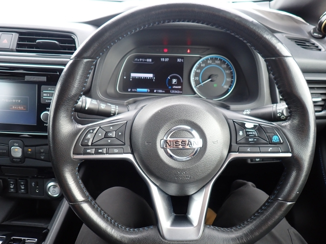 NISSAN LEAF 2018