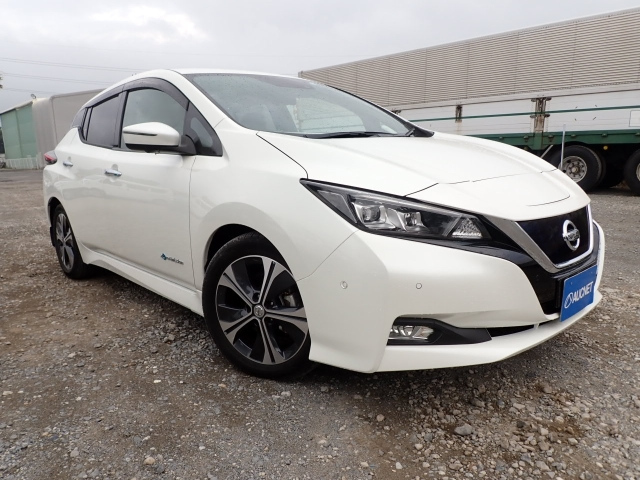 NISSAN LEAF 2018