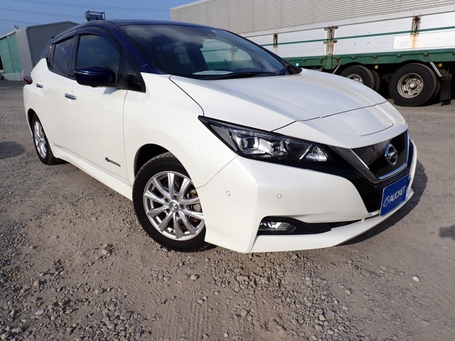NISSAN LEAF 2018