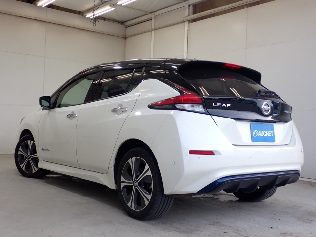 NISSAN LEAF 2020