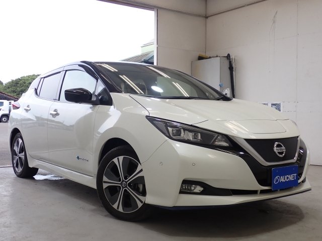NISSAN LEAF 2020