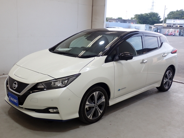 NISSAN LEAF 2020