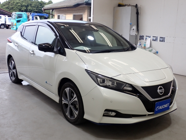 NISSAN LEAF 2020