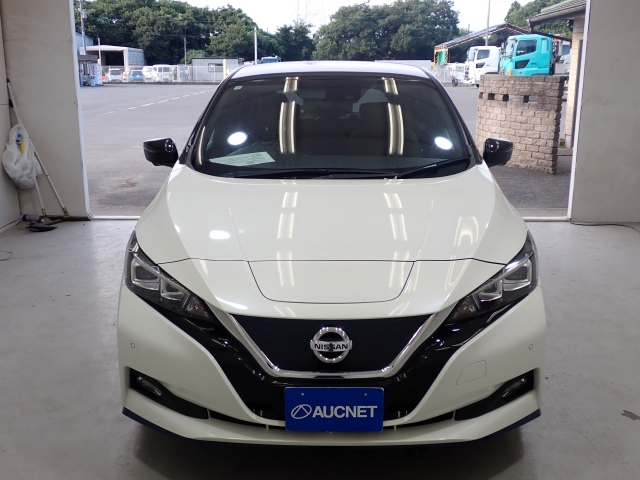NISSAN LEAF 2020