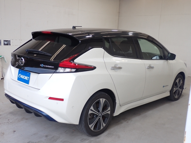 NISSAN LEAF 2020